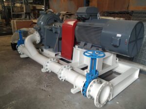 whatsapp image 2025 07 14 at 08.55.25